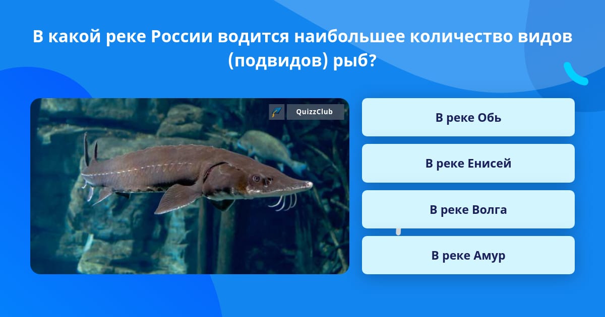 Какие рыбы водятся в реке Обь?