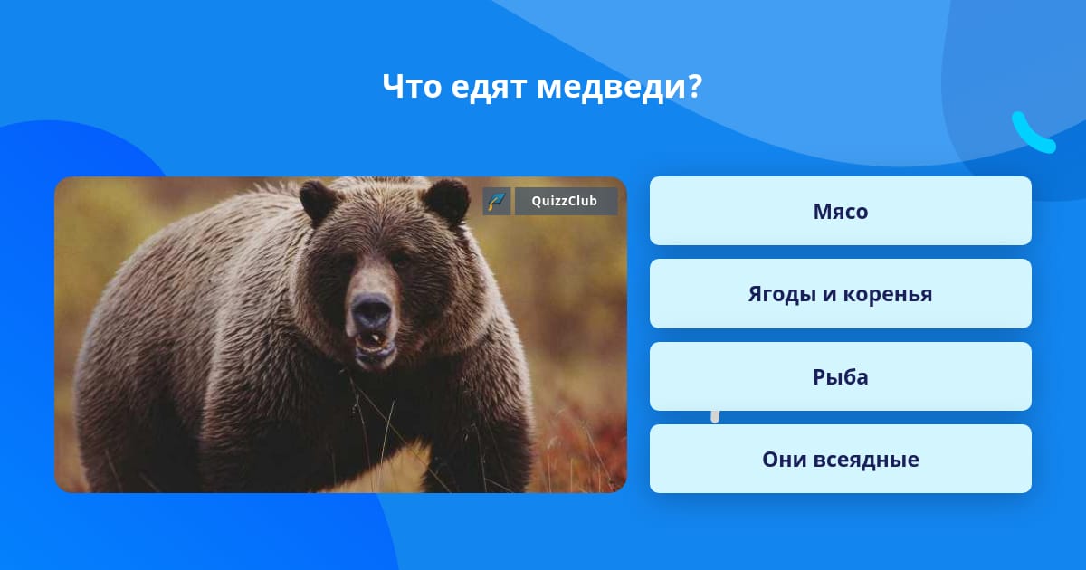 На какой вопрос отвечает медведь