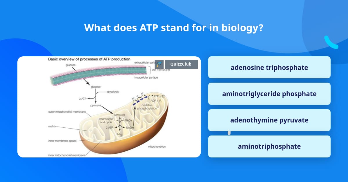 what-does-atp-stand-for-in-biology-trivia-questions-quizzclub