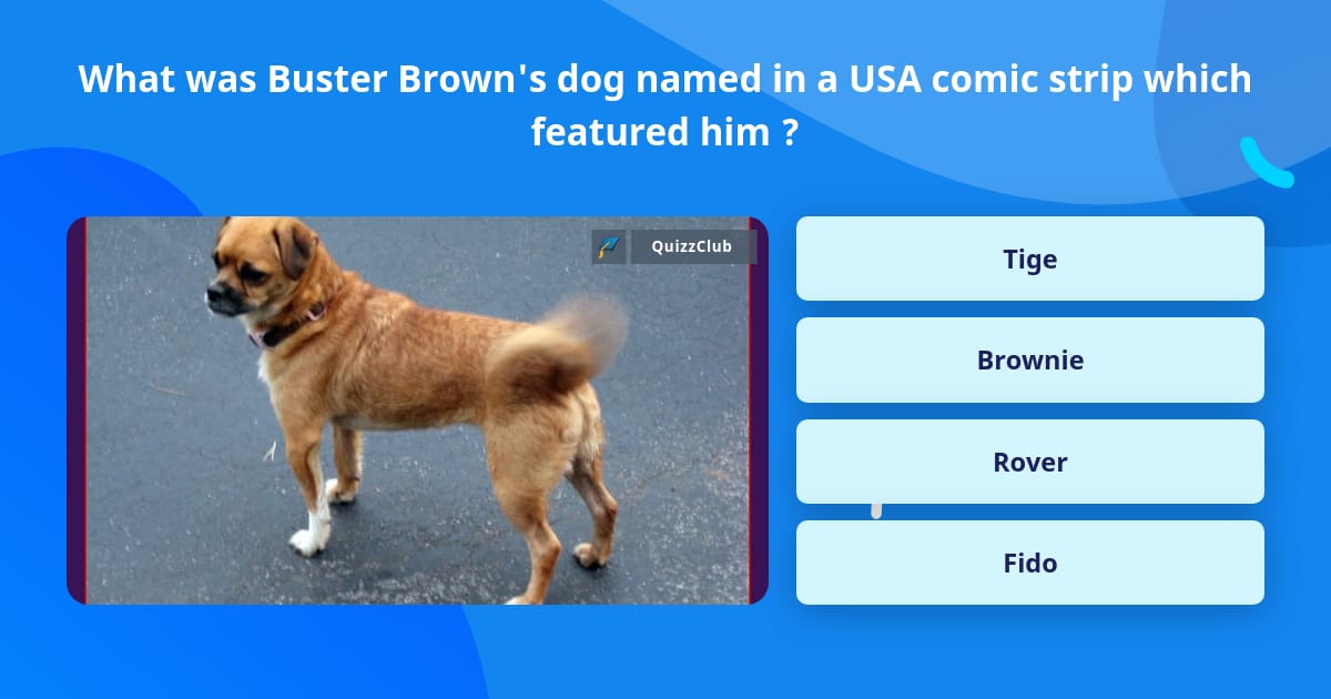 What Was Buster Brown S Dog Named In Trivia Answers Quizzclub