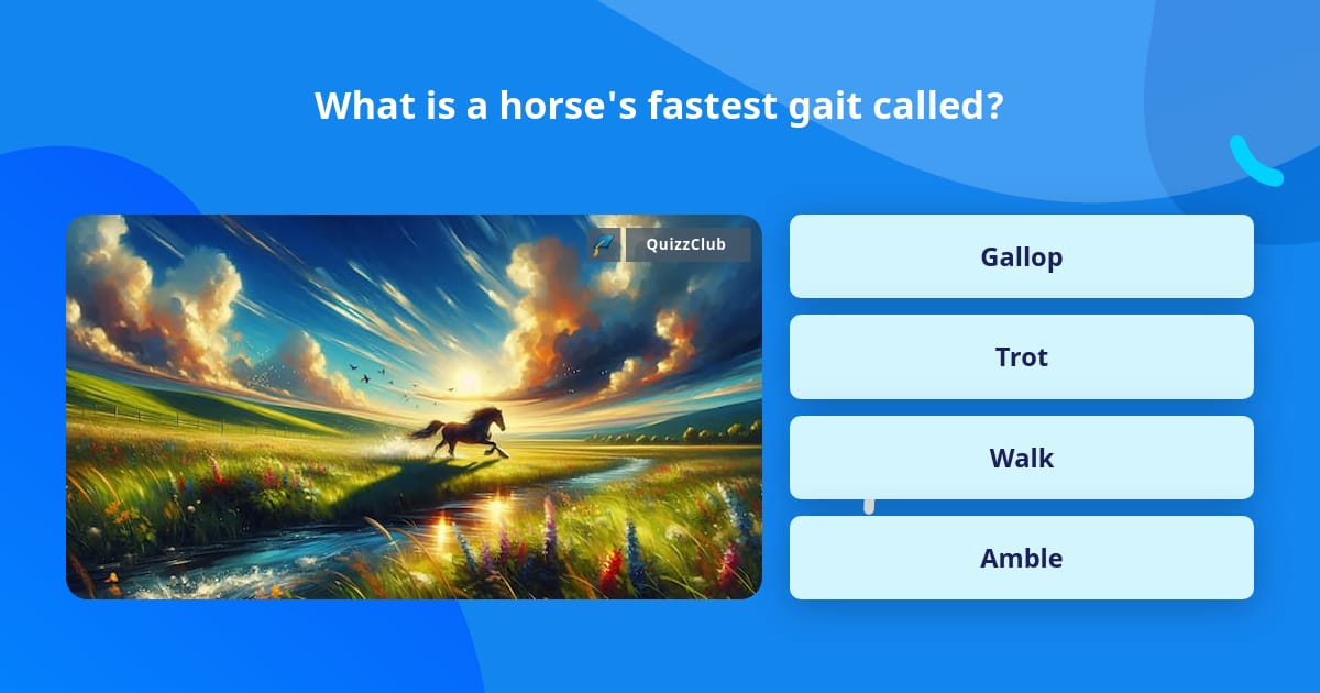 What is a horse's fastest gait called? | Trivia Questions | QuizzClub