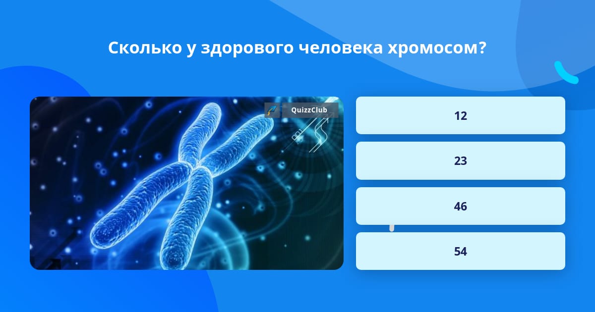 Хромосомы отвечающие за пол. 46 Хромосом у человека. Сколько хромосом у человека здорового. Размер хромосомы человека. Хромосома отвечающая за рост.