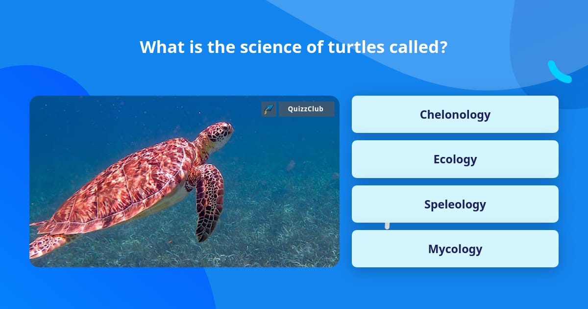 What is the science of turtles called? | Trivia Questions | QuizzClub
