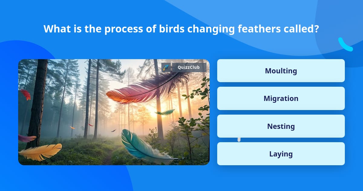 What is the process of birds... | Trivia Questions | QuizzClub