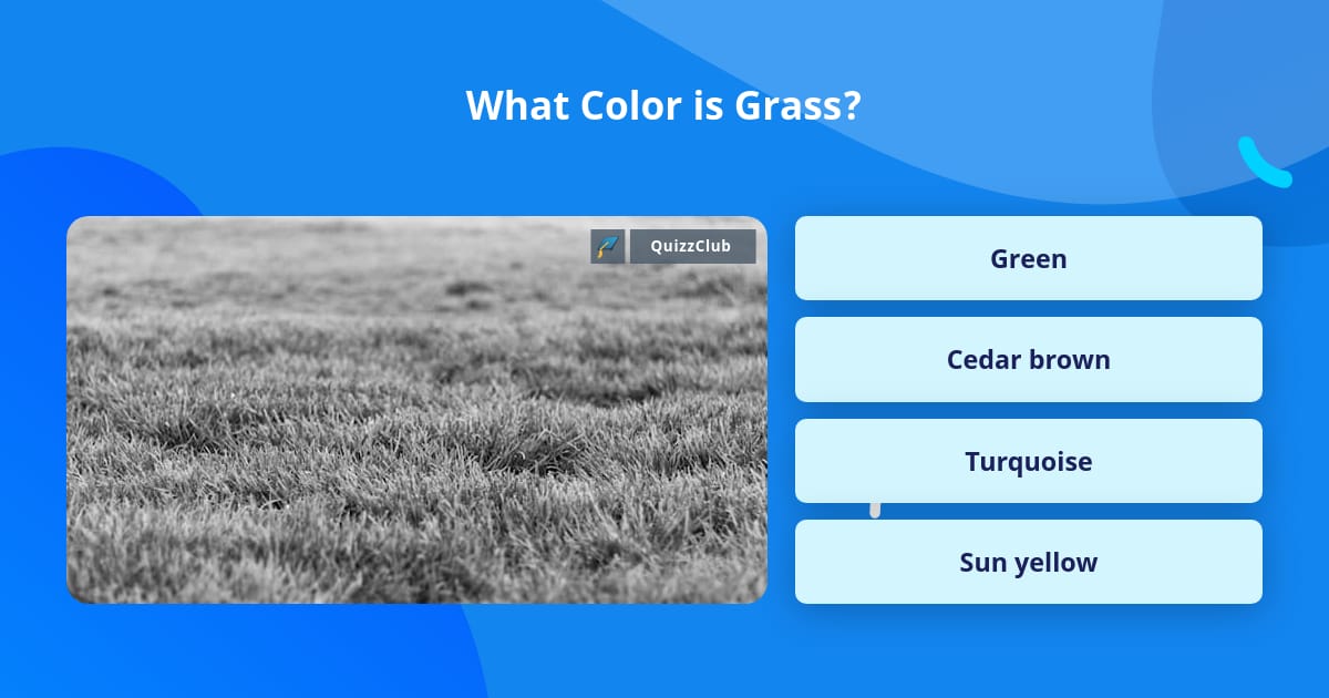 Turf Trivia What Color is Grass? | Trivia Questions | QuizzClub