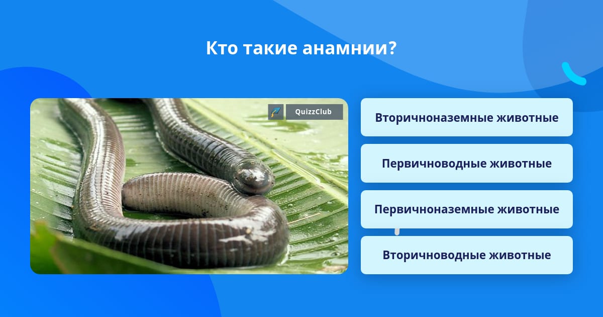 Первичноводные и вторичноводные животные