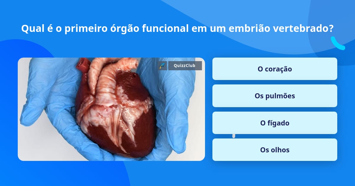 Qual é o primeiro órgão funcional em... | Perguntas Triviais