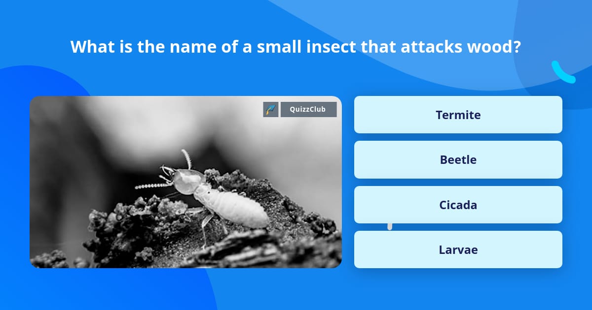 Trivia In Insect What is the name of a small insect... | Trivia Questions | QuizzClub
