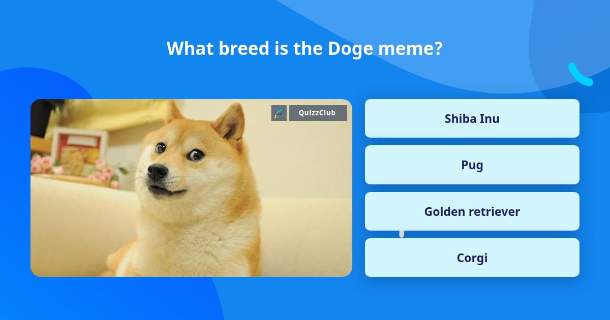 Doge Question What breed is the Doge meme? | Trivia Questions | QuizzClub