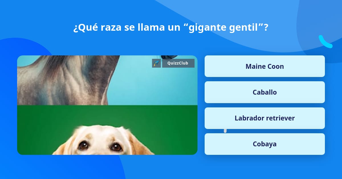 ¿Qué raza se llama un “gigante gentil”? | Las Preguntas Trivia
