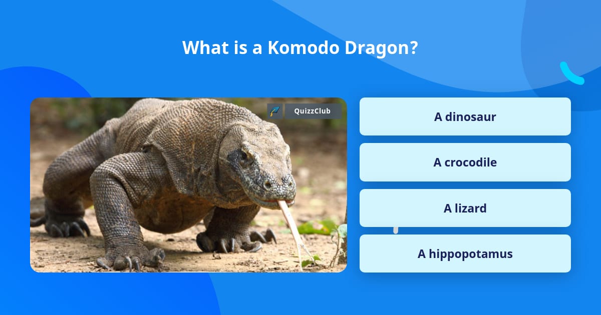 what-is-a-komodo-dragon-trivia-questions-quizzclub