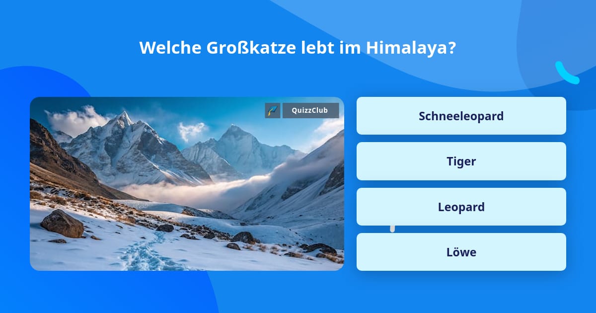 Welche Großkatze lebt im Himalaya? | Quizfragen | QuizzClub