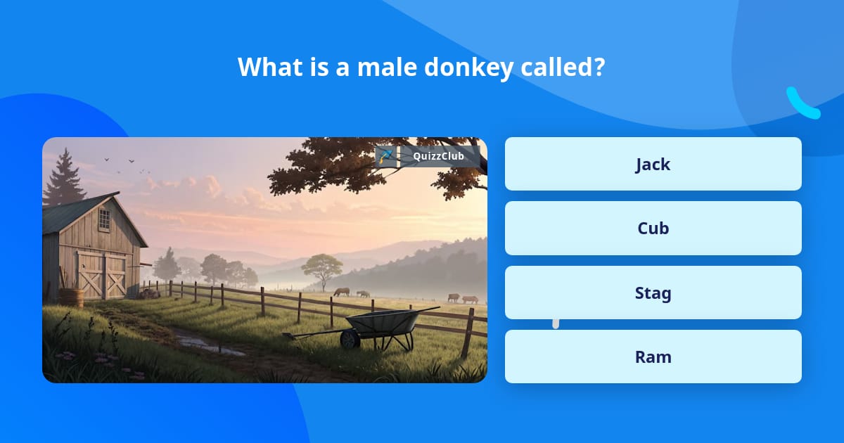 What is a male donkey called? | Trivia Questions | QuizzClub