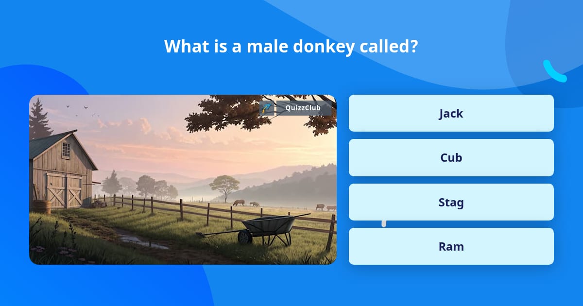 Donkey Question What is a male donkey called? | Trivia Questions | QuizzClub