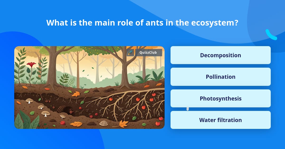 What is the main role of ants in the... | Trivia Questions | QuizzClub