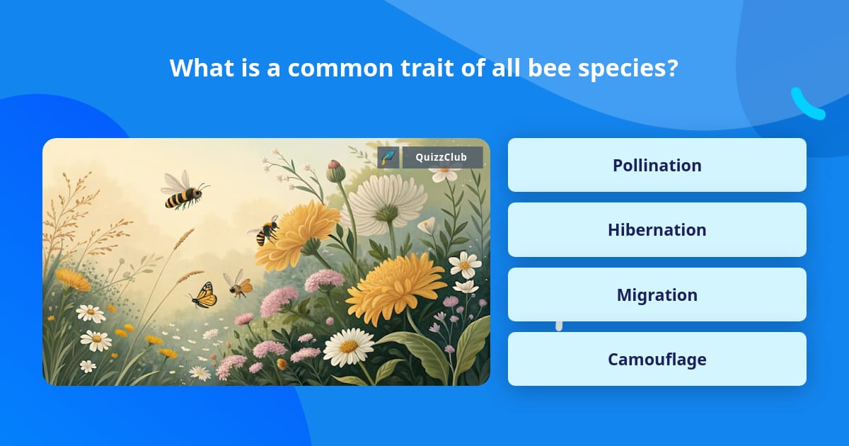 What is a common trait of all bee... | Trivia Questions | QuizzClub
