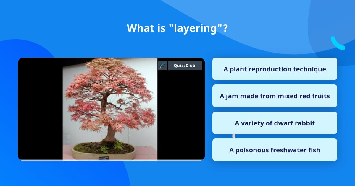 Layering Questions What is