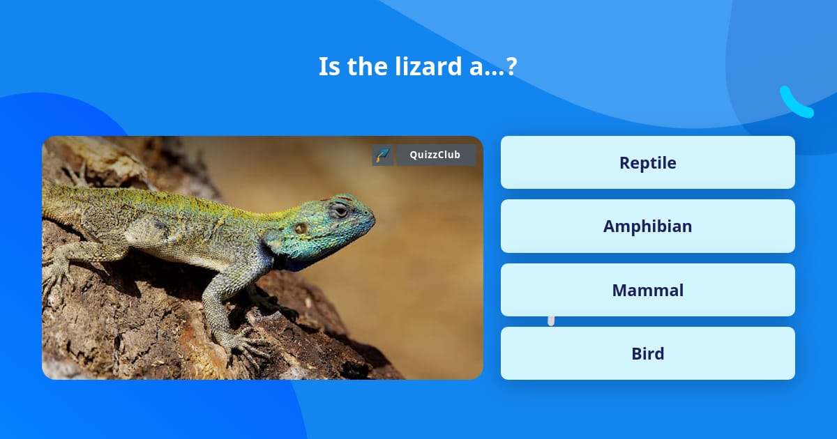 Is the lizard a...? | Trivia Questions | QuizzClub