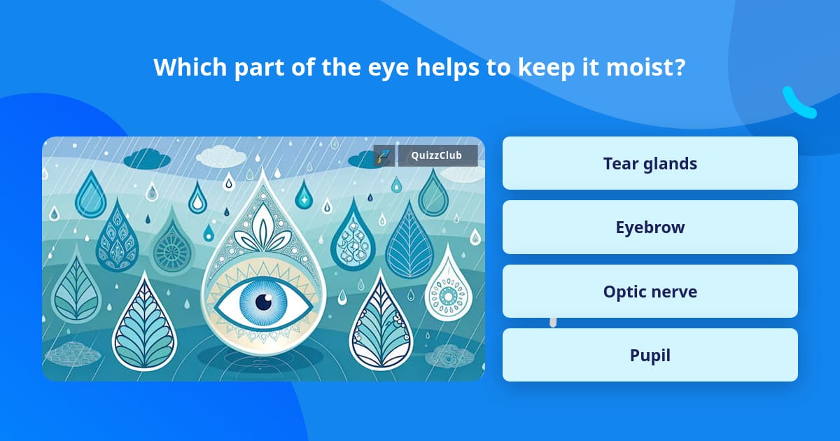 Which part of the eye helps to keep... | Trivia Questions | QuizzClub