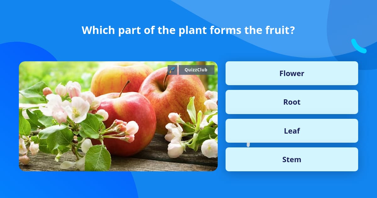 Which part of the plant forms the fruit? | Trivia Questions