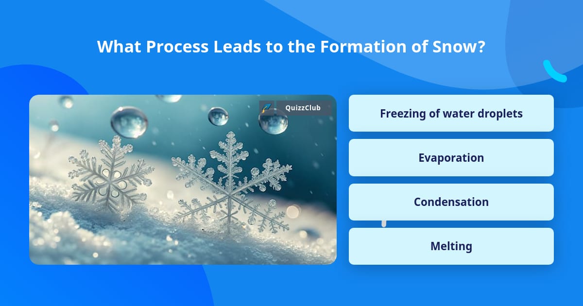 Process Trivia What Process Leads to the Formation... | Trivia Questions | QuizzClub