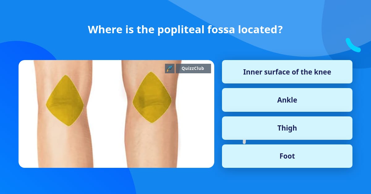 Where is the popliteal fossa located? | Trivia Questions | QuizzClub