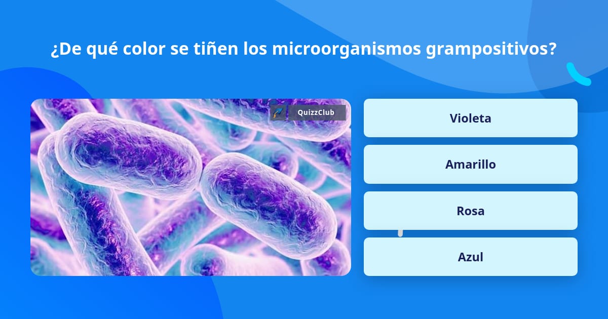 ¿De qué color se tiñen los... | Las Preguntas Trivia | QuizzClub