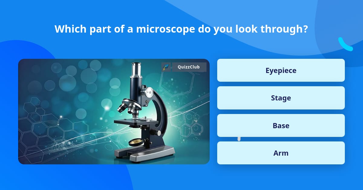 Which part of a microscope do you... | Trivia Questions | QuizzClub