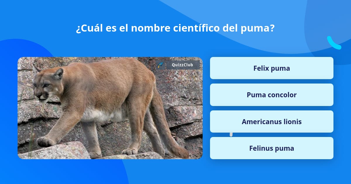 No complicado Posteridad conjunto Cuál es el nombre científico del puma? | Las Preguntas Trivia 