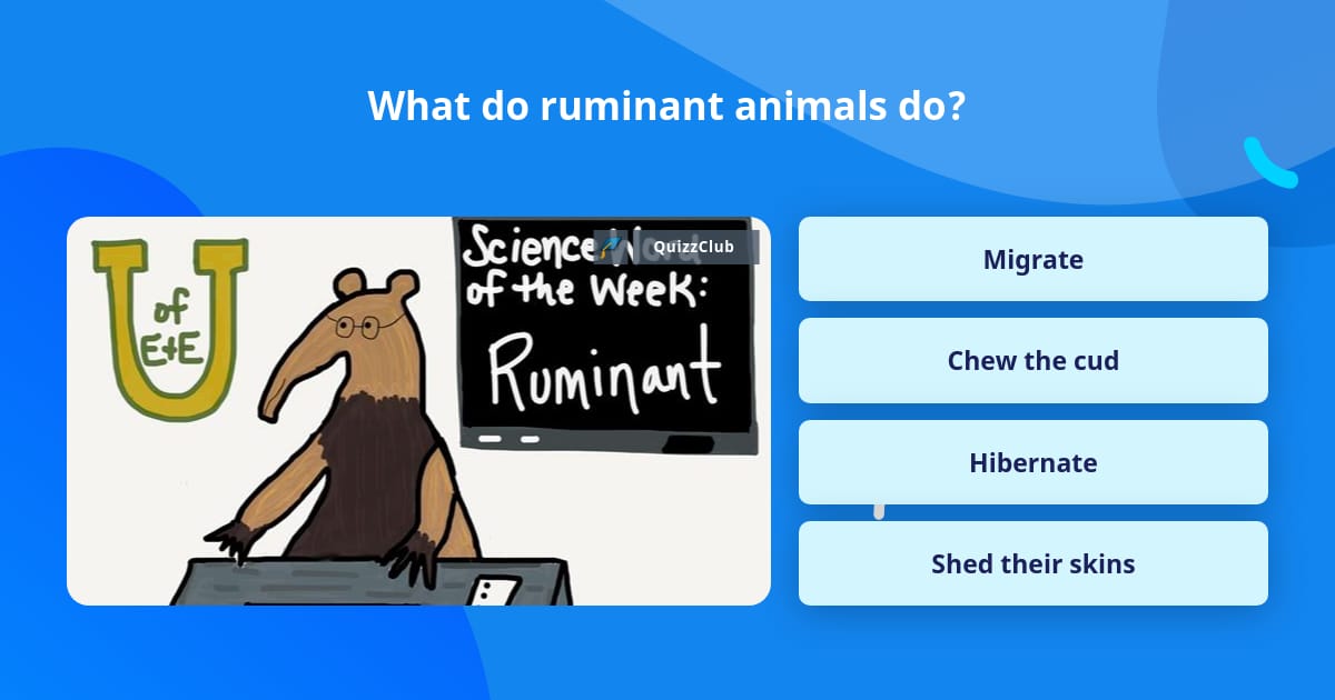 Trivia In Ruminants What do ruminant animals do? | Trivia Questions | QuizzClub