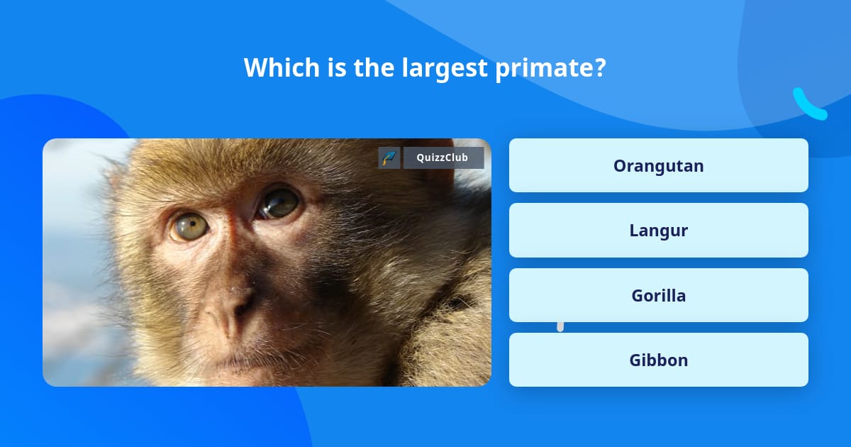 Which is the largest primate? | Trivia Questions | QuizzClub