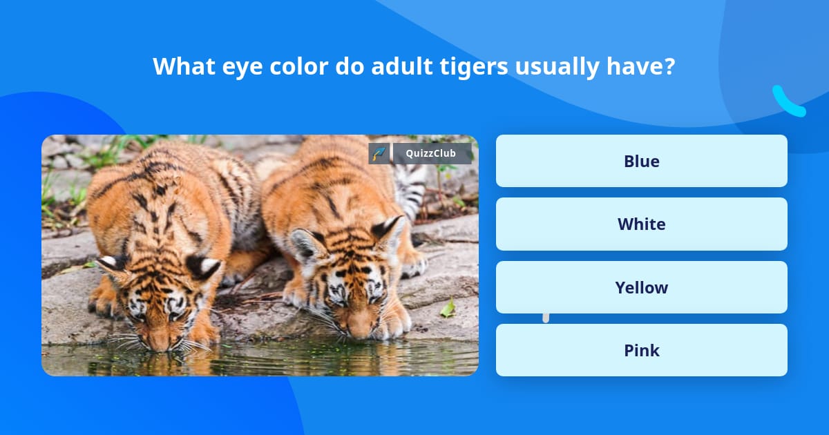 white tiger eye color