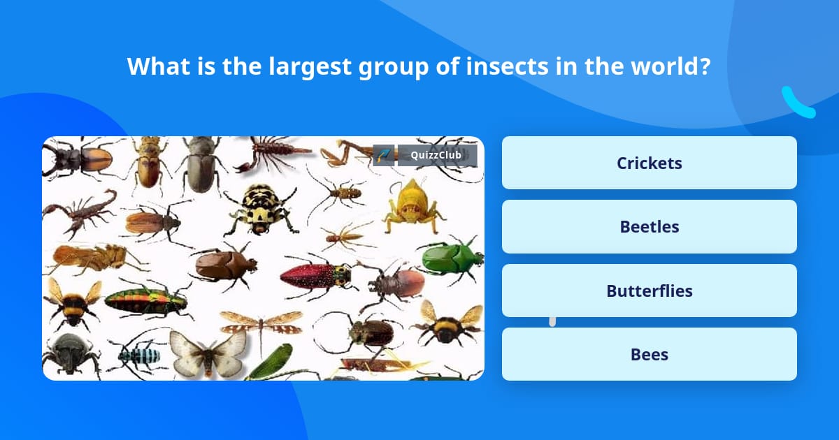What Is The Largest Group Of Insects Trivia Questions QuizzClub