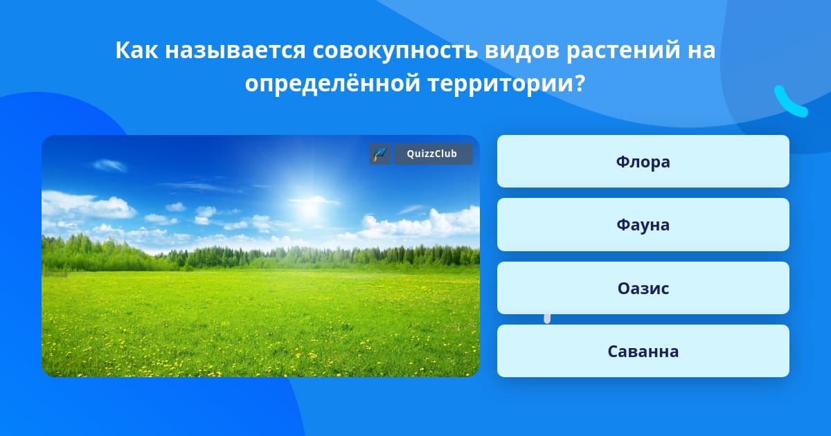 Растительность это определение. Совокупность всех видов растений и животных это. Биоценоз растения и животные. Совокупность видов растений на одной территории. Вид-совокупность популяций.