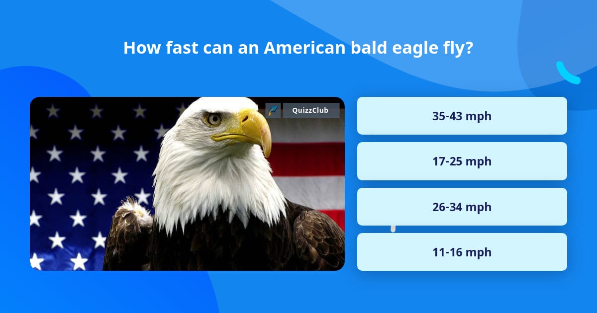 How fast can an American bald eagle fly? | Trivia Answers | QuizzClub