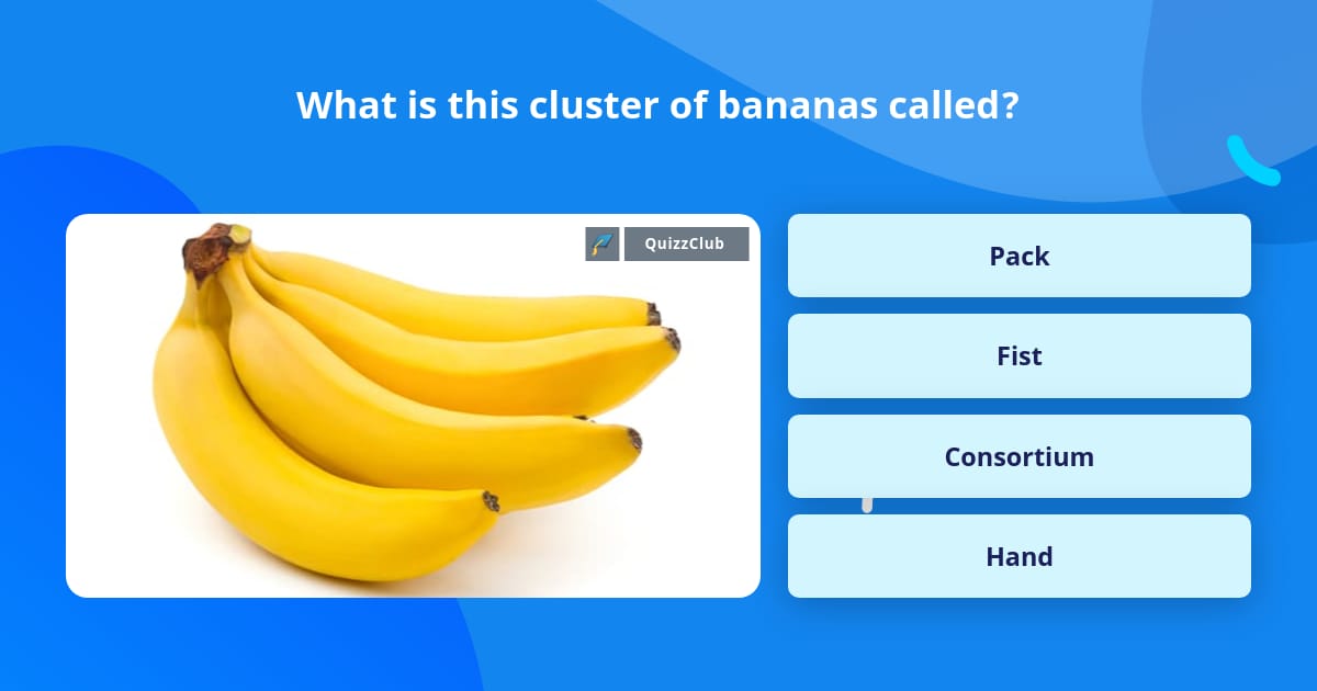 What is this cluster of bananas called? | Trivia Answers