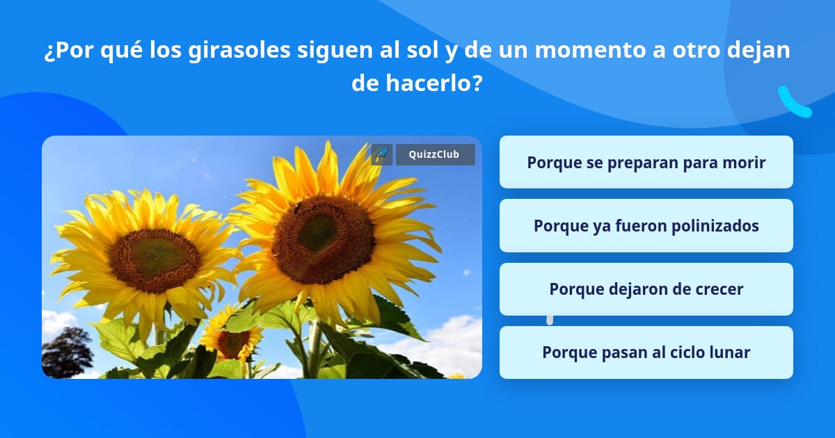 Por qué los girasoles siguen al sol... | La respuesta de Trivia |