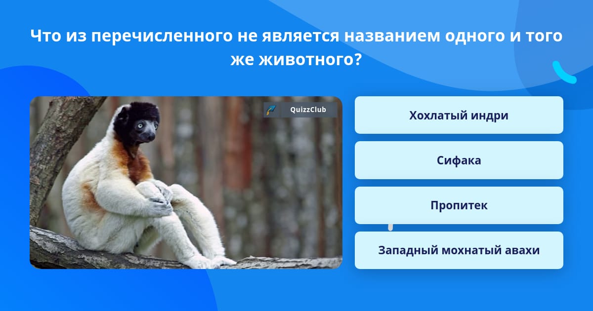 Что из перечисленного не является причиной. Что из перечисленного не является причиной