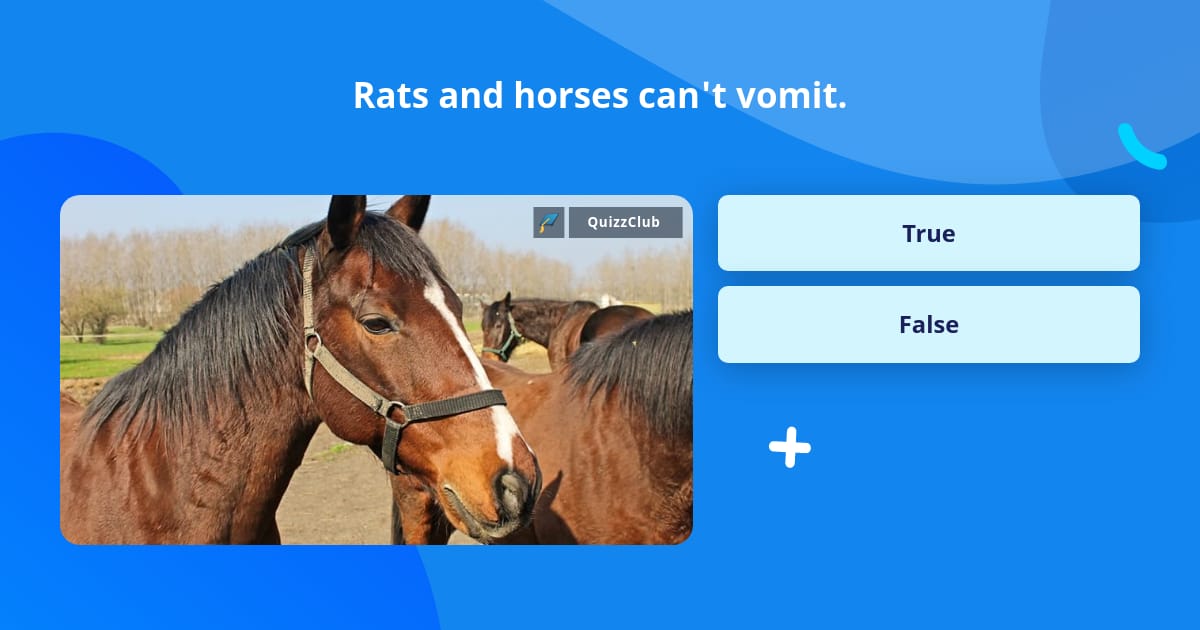 Rats and horses can't vomit. | Trivia Questions | QuizzClub