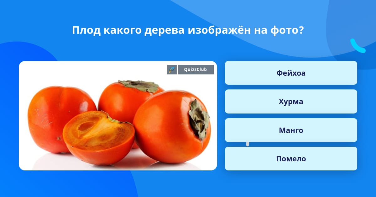 Как определить, с какого дерева растет определенный плод Как определить, с какого дерева растет определенный плод