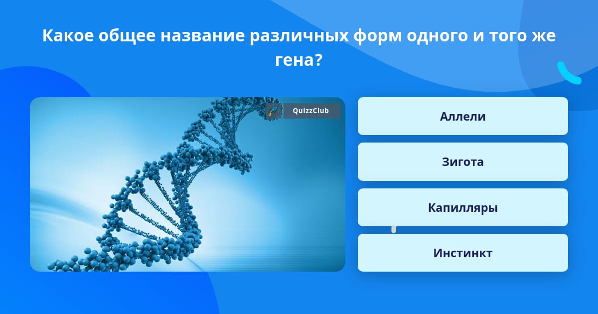 Парные гены называются