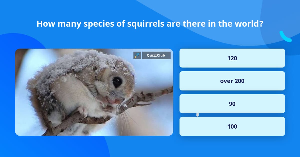 How many species of squirrels are... | Trivia Answers | QuizzClub