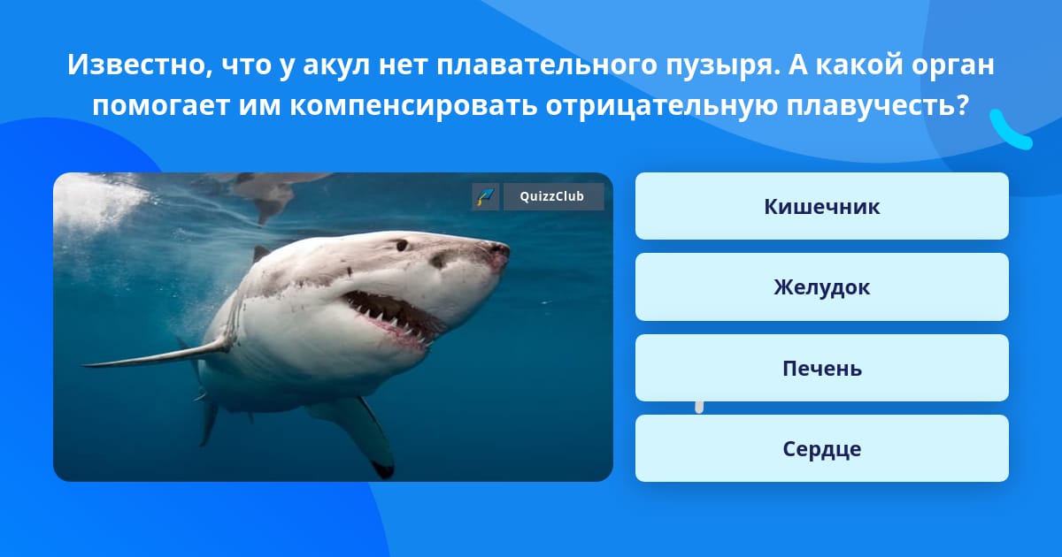 У каких костных рыб нет плавательного пузыря