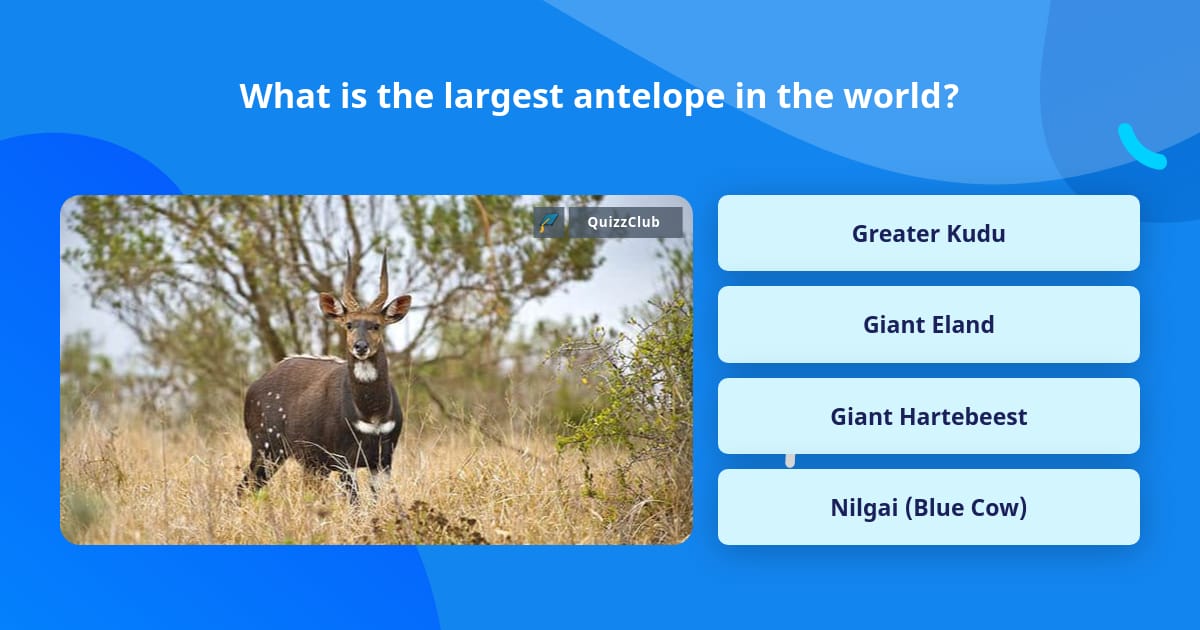 What is the largest antelope in the... | Trivia Questions | QuizzClub