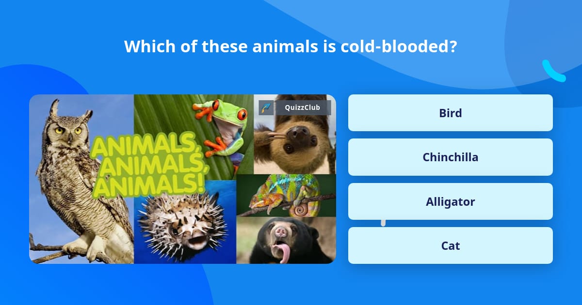 Which of these animals is cold-blooded? | Trivia Answers | QuizzClub