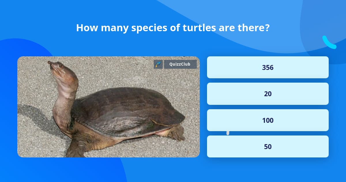 How many species of turtles are there? | Trivia Answers | QuizzClub