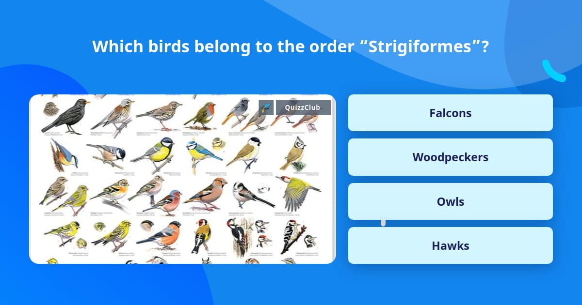 which-birds-belong-to-the-order-trivia-questions-quizzclub