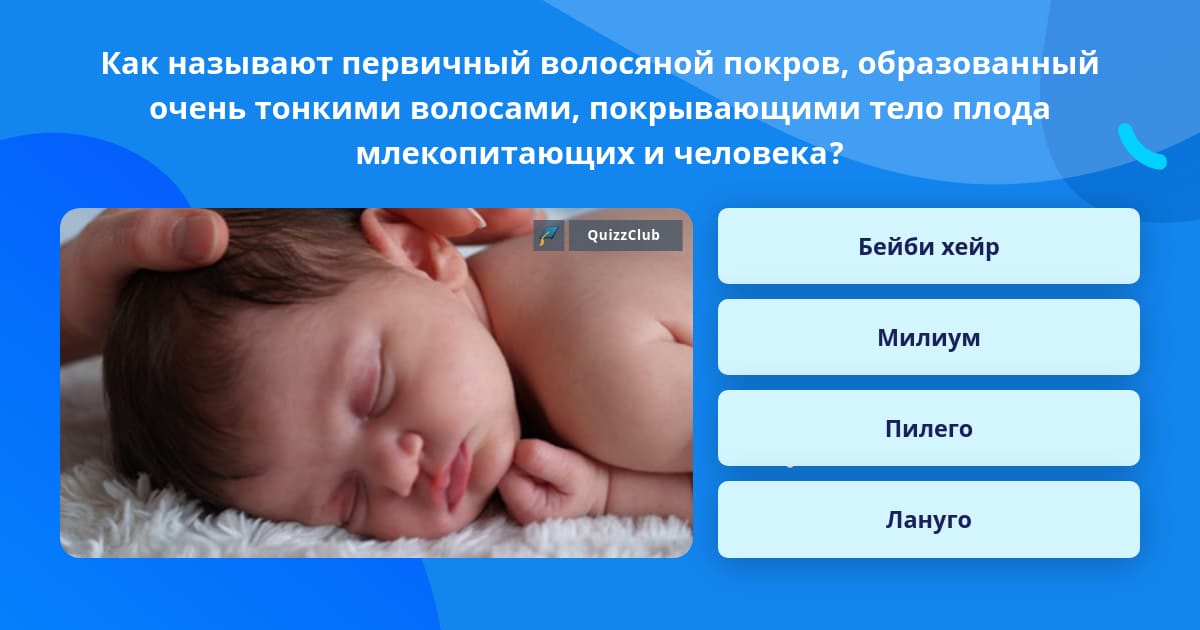 Волосы лануго у взрослых.