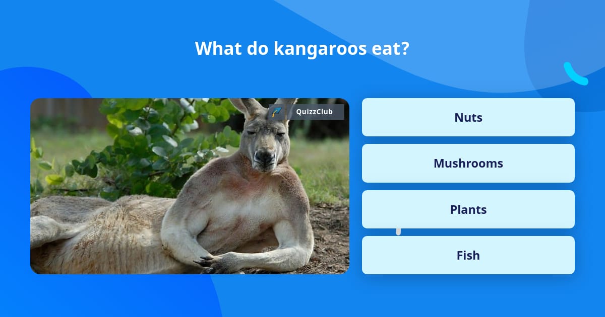 What do kangaroos eat? Trivia Questions