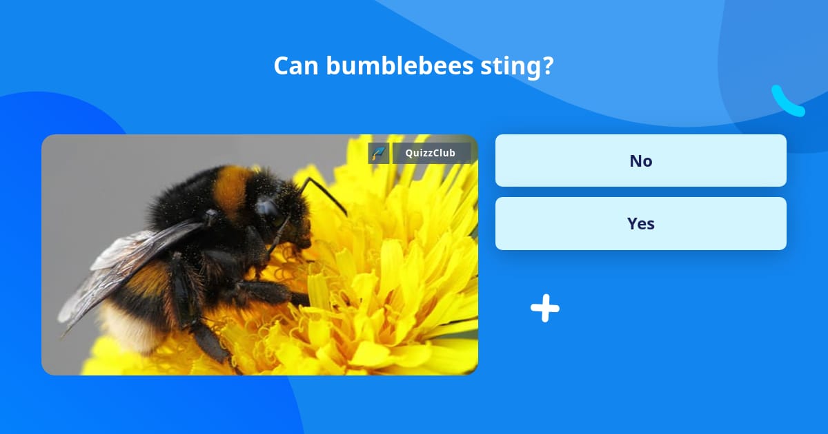 Can Bumblebees Sting Trivia Answers QuizzClub